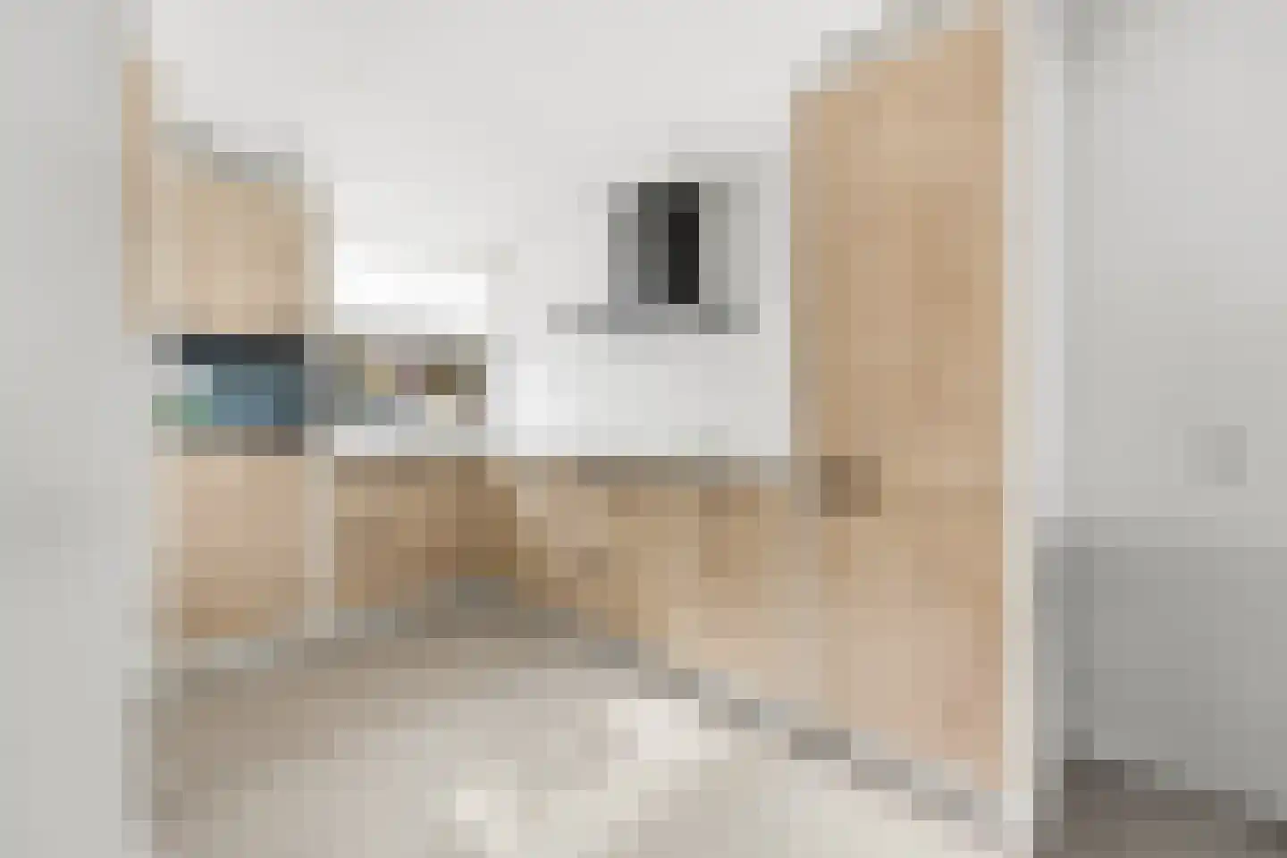 Hornetstraat 24 Rotterdam thumbnail 12