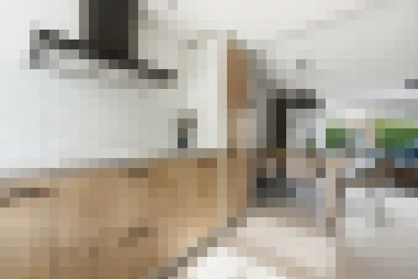 Hornetstraat 24 Rotterdam thumbnail 15