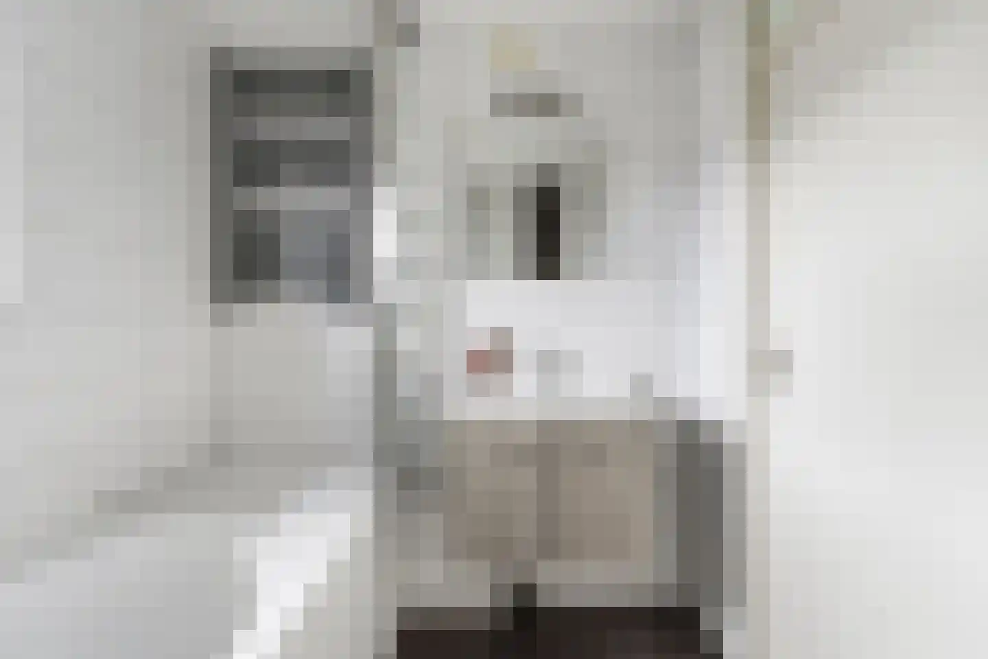 Hornetstraat 24 Rotterdam thumbnail 25