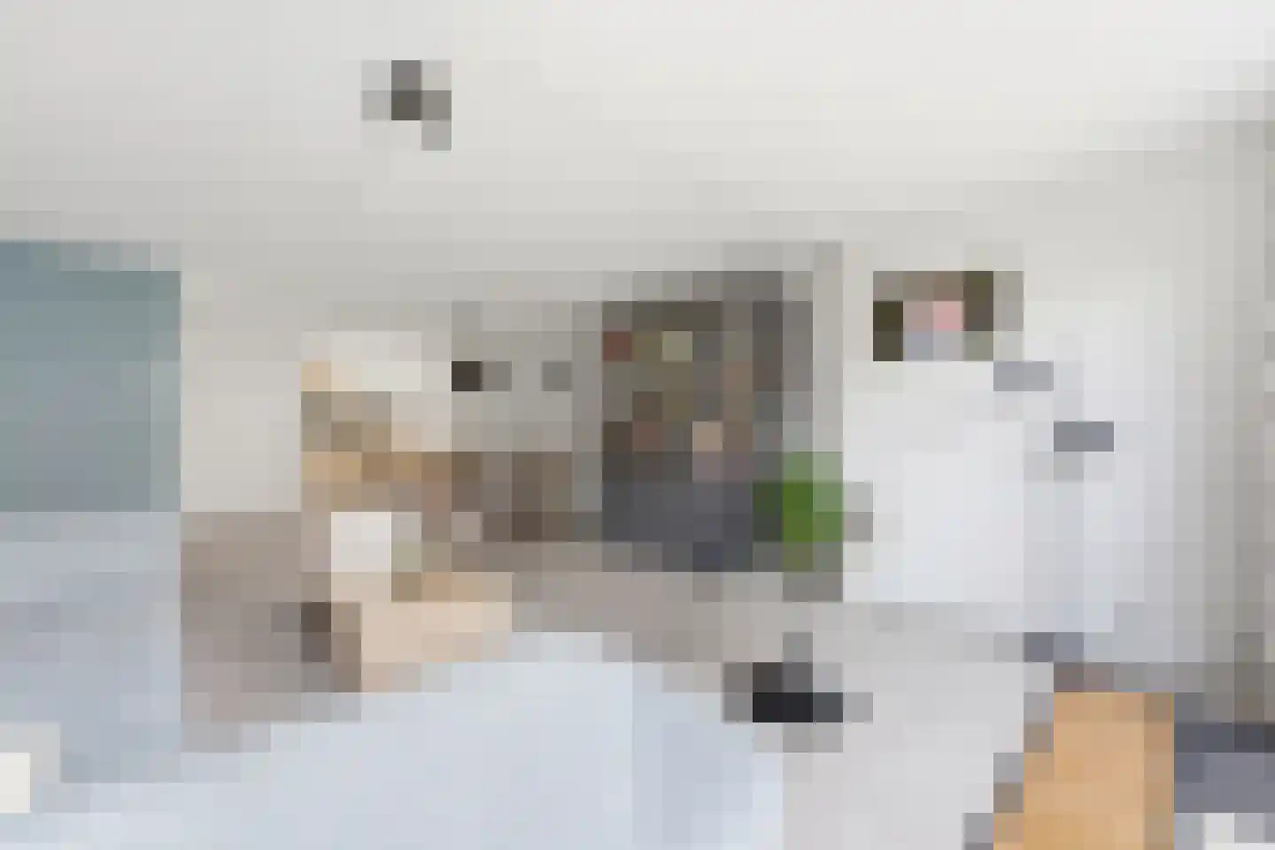 Hornetstraat 24 Rotterdam thumbnail 6