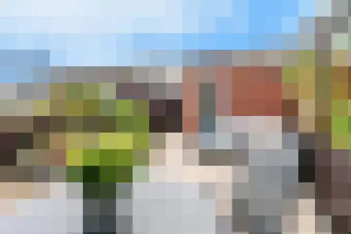Hornetstraat 46 Rotterdam thumbnail 32