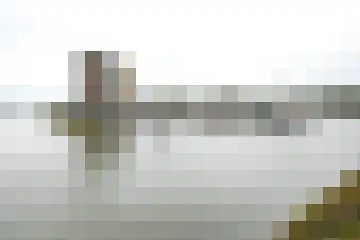 Hornetstraat 46 Rotterdam thumbnail 36