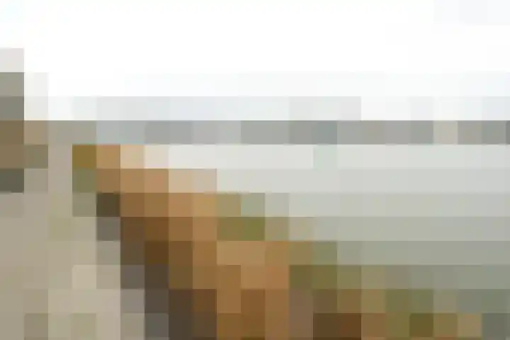 Hornetstraat 46 Rotterdam thumbnail 38