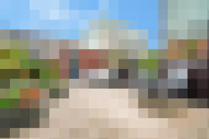 Hornetstraat 46 Rotterdam thumbnail 6