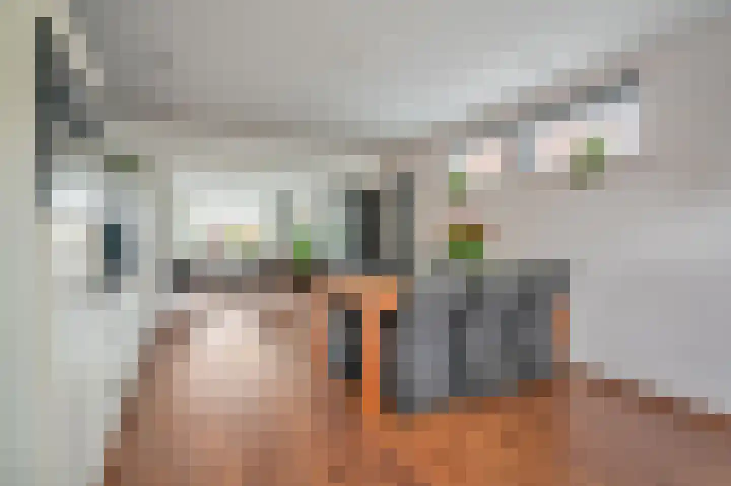 Hörnhuusstraat 35 Kornhorn thumbnail 21