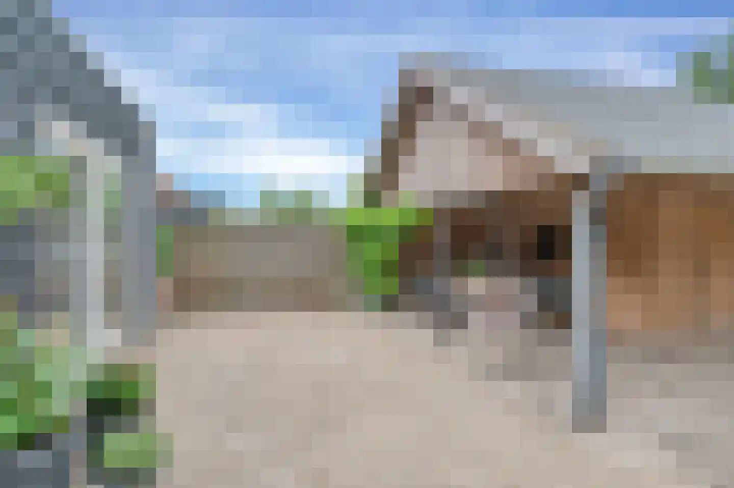 Hörnhuusstraat 35 Kornhorn thumbnail 34