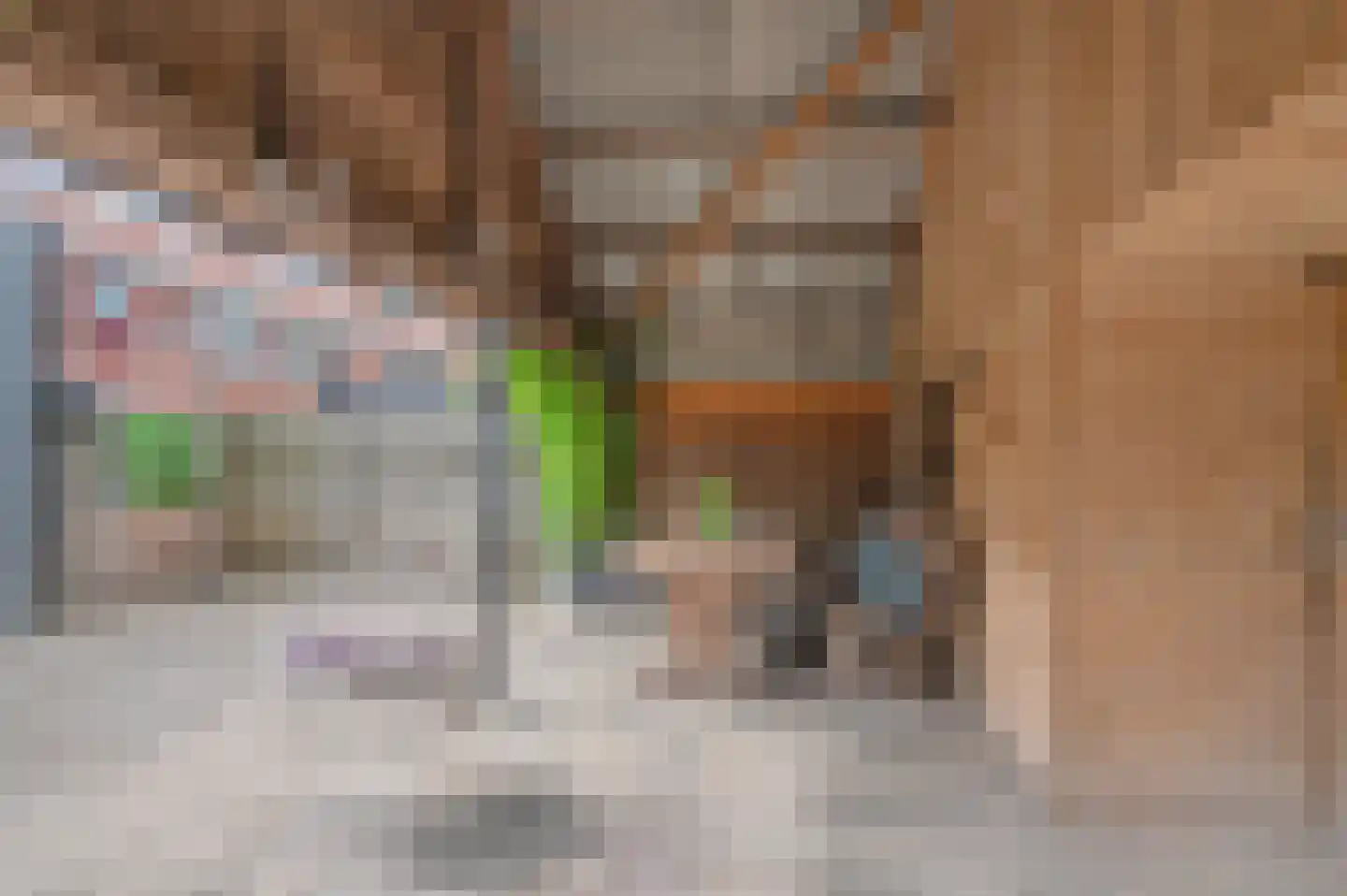 Hörnhuusstraat 35 Kornhorn thumbnail 36