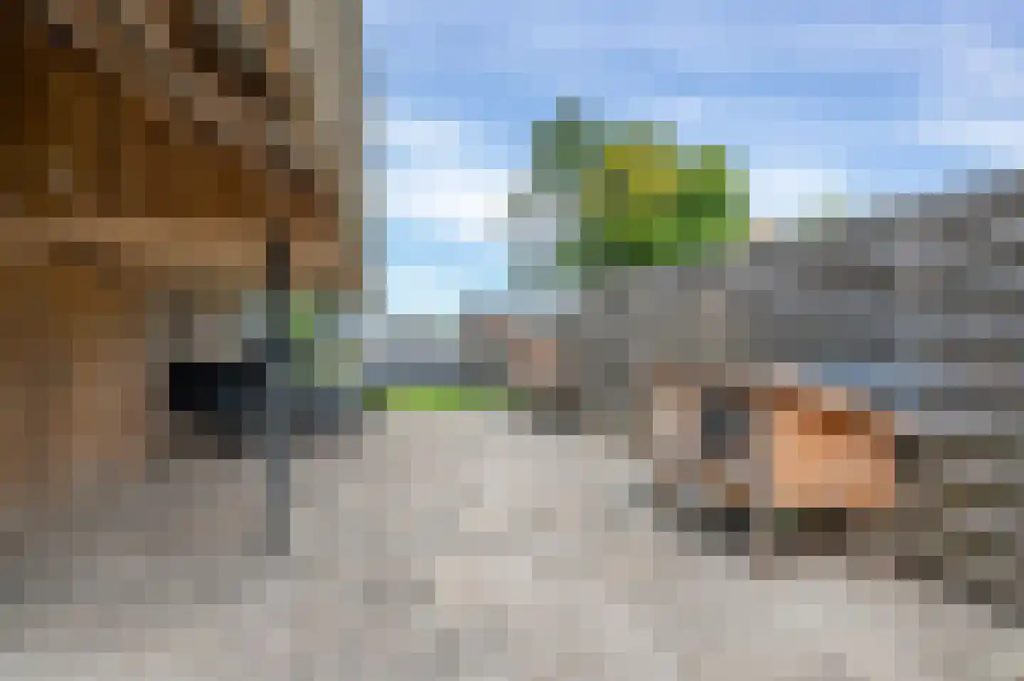 Hörnhuusstraat 35 Kornhorn thumbnail 37