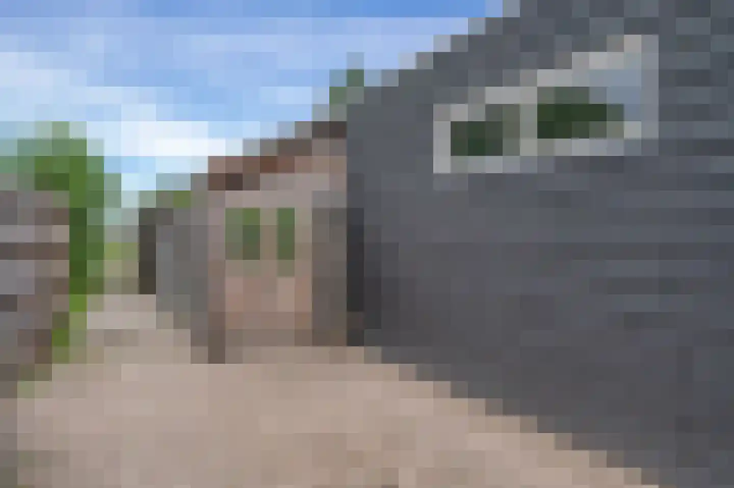 Hörnhuusstraat 35 Kornhorn thumbnail 49