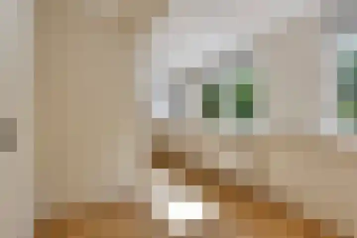 Hornikswei 27 Goes thumbnail 18