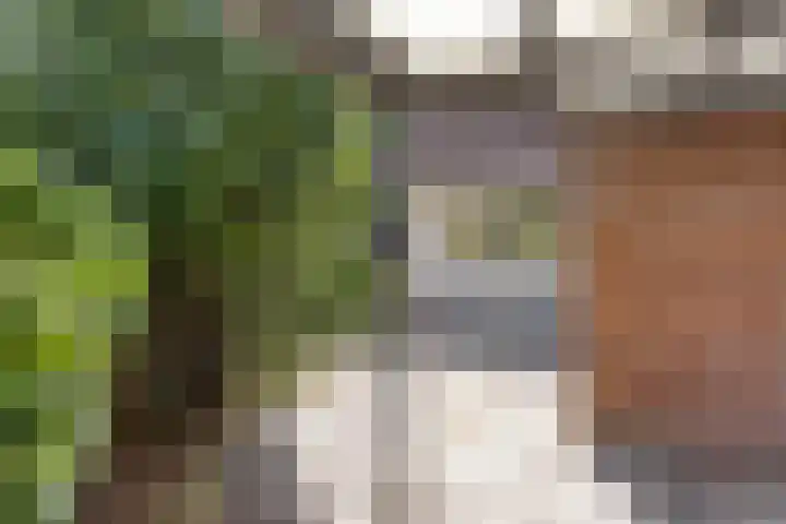 Hornikswei 27 Goes foto 2