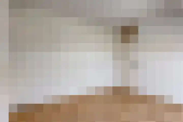 Hornikswei 27 Goes thumbnail 22