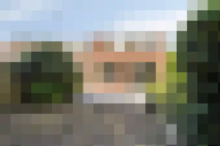 Hornikswei 27 Goes thumbnail 24
