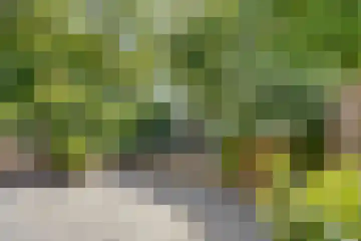 Hornikswei 27 Goes thumbnail 25