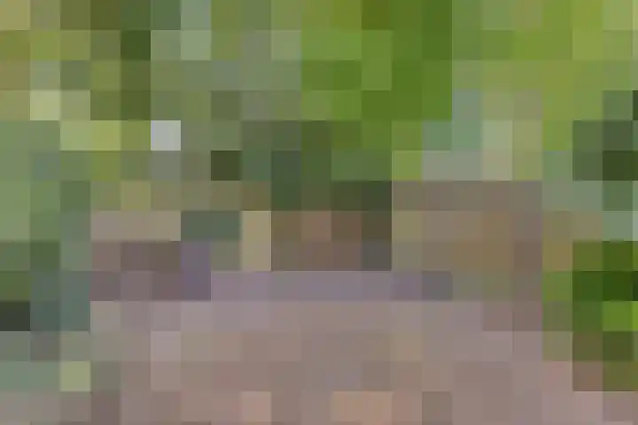 Hornikswei 27 Goes thumbnail 26
