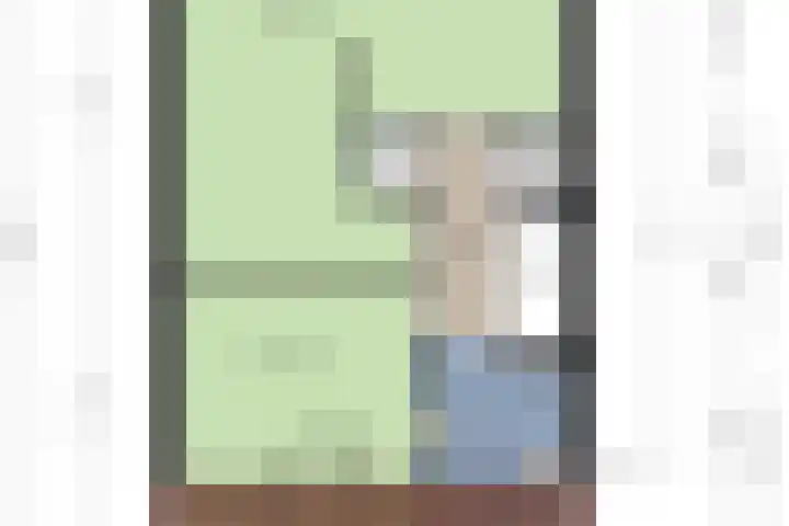 Hornikswei 27 Goes thumbnail 29