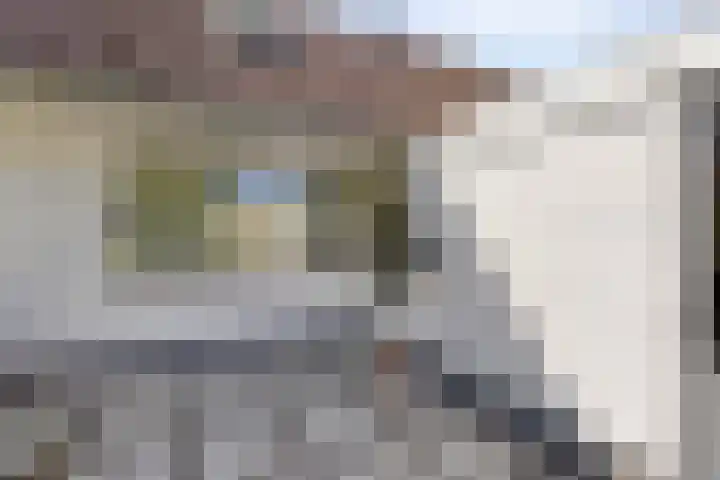 Hornikswei 27 Goes foto 3