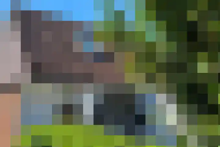 Hornikswei 27 Goes thumbnail 4