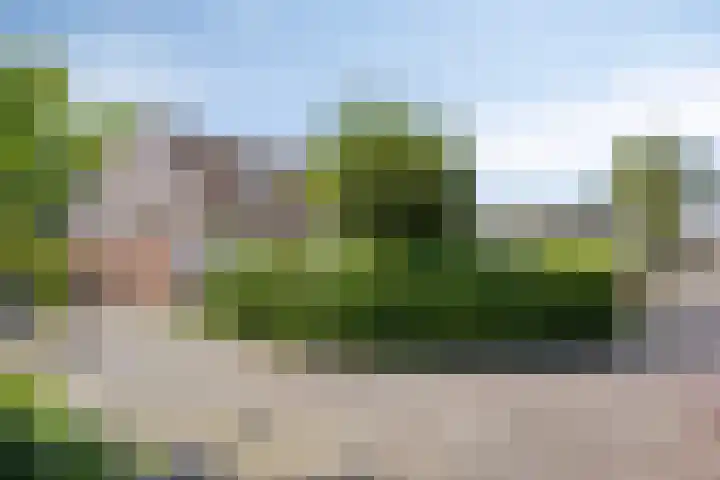 Hornikswei 27 Goes thumbnail 5