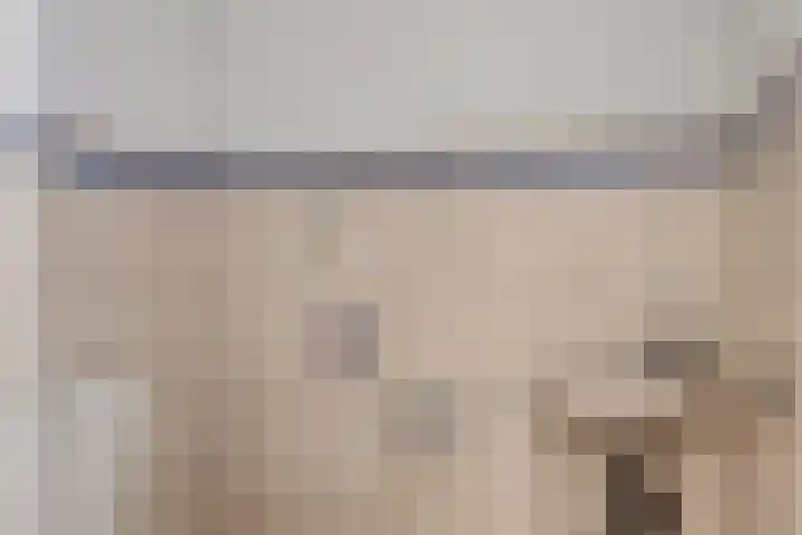 Hornikswei 27 Goes thumbnail 8