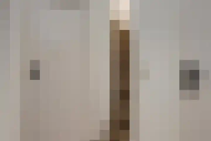 Hornikswei 27 Goes thumbnail 9