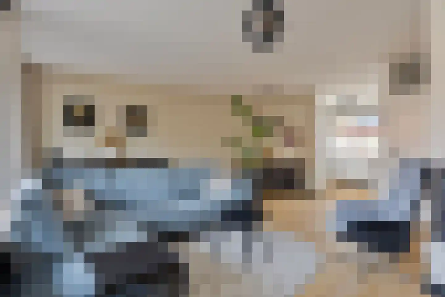 Hornikswei 3 Goes thumbnail 16