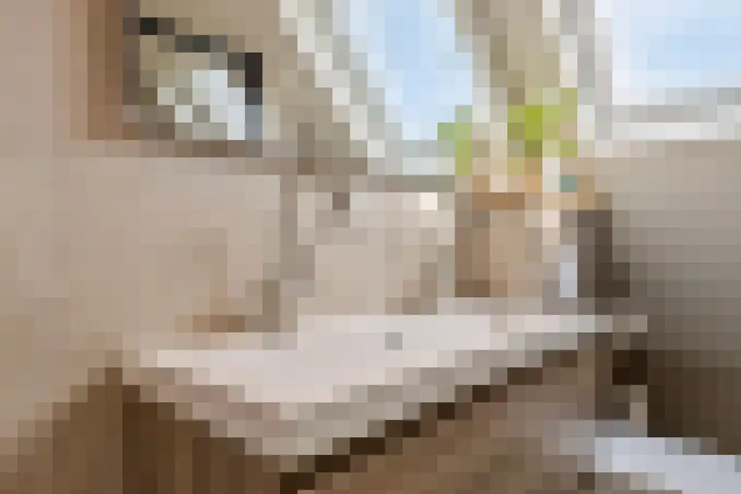 Hornikswei 3 Goes thumbnail 35