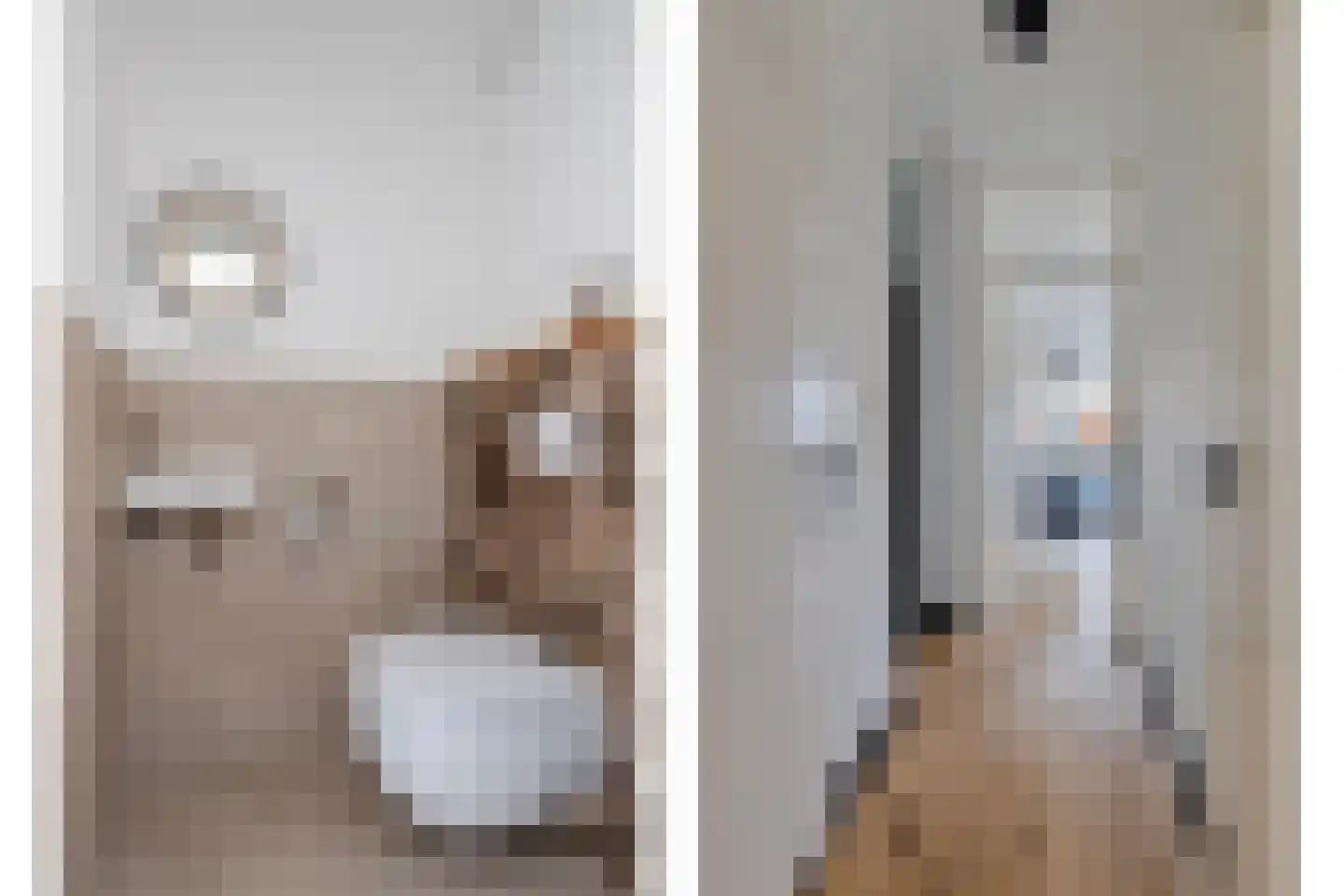 Hornikswei 3 Goes thumbnail 9