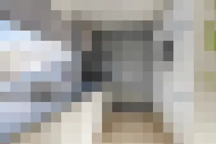 Hornikswei 36 Goes thumbnail 18