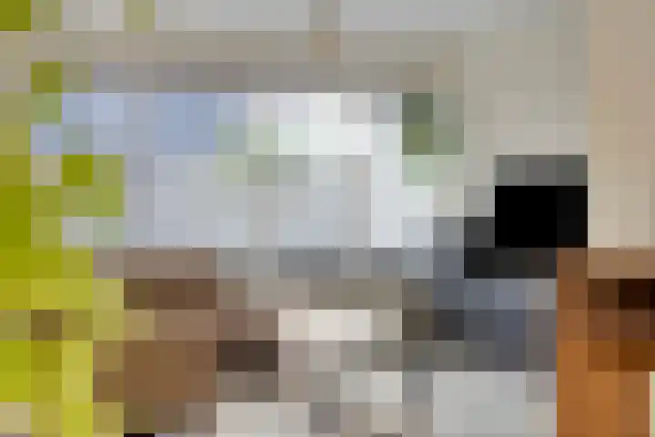 Hornikswei 36 Goes thumbnail 20