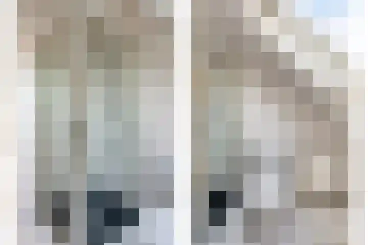 Hornikswei 36 Goes thumbnail 32