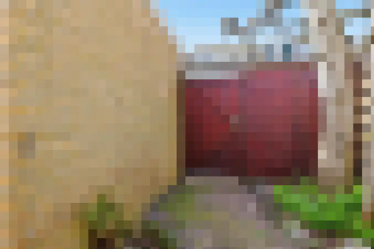 Hornlaan 45 Assendelft thumbnail 28