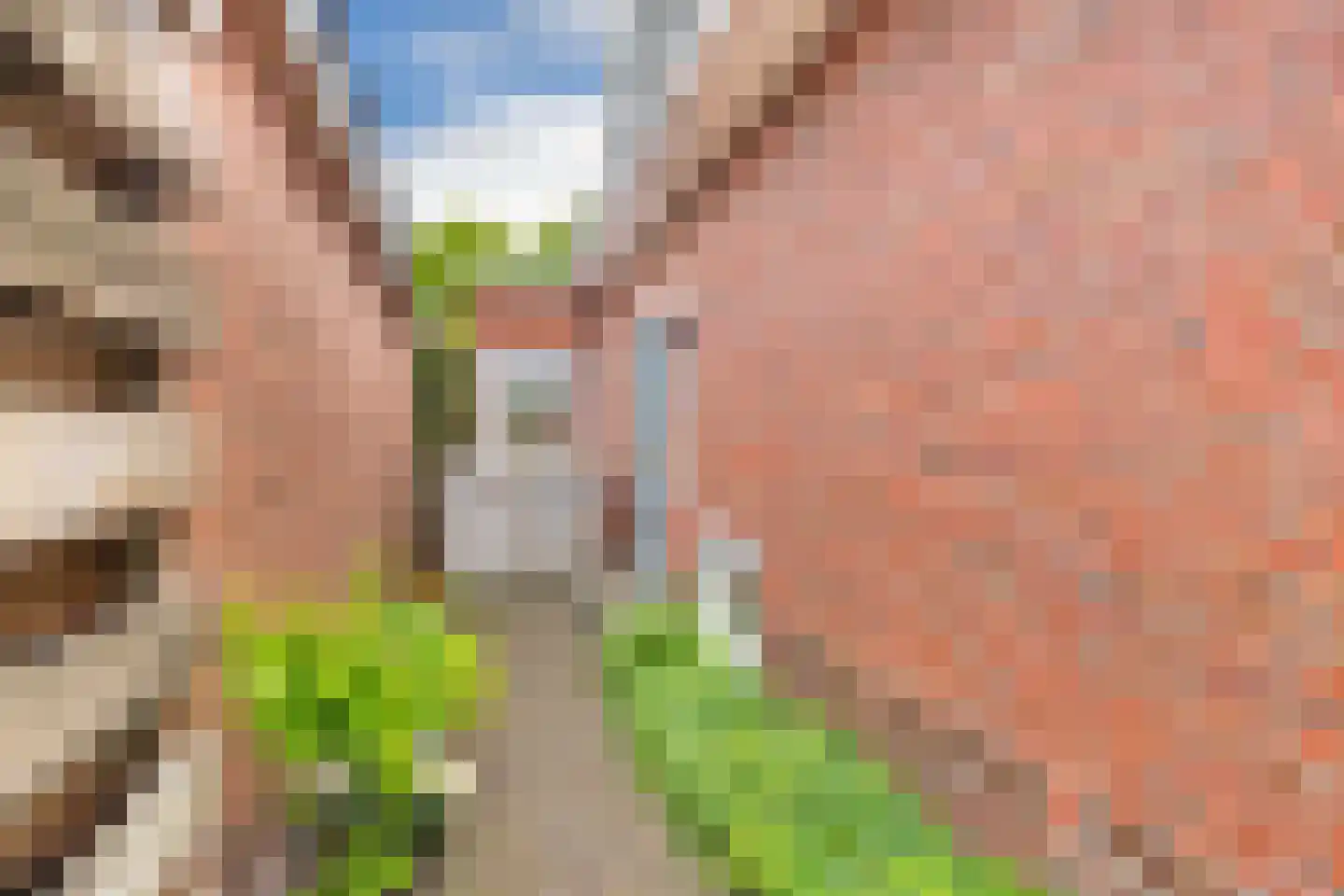 Hornleger 1 Drachten thumbnail 43