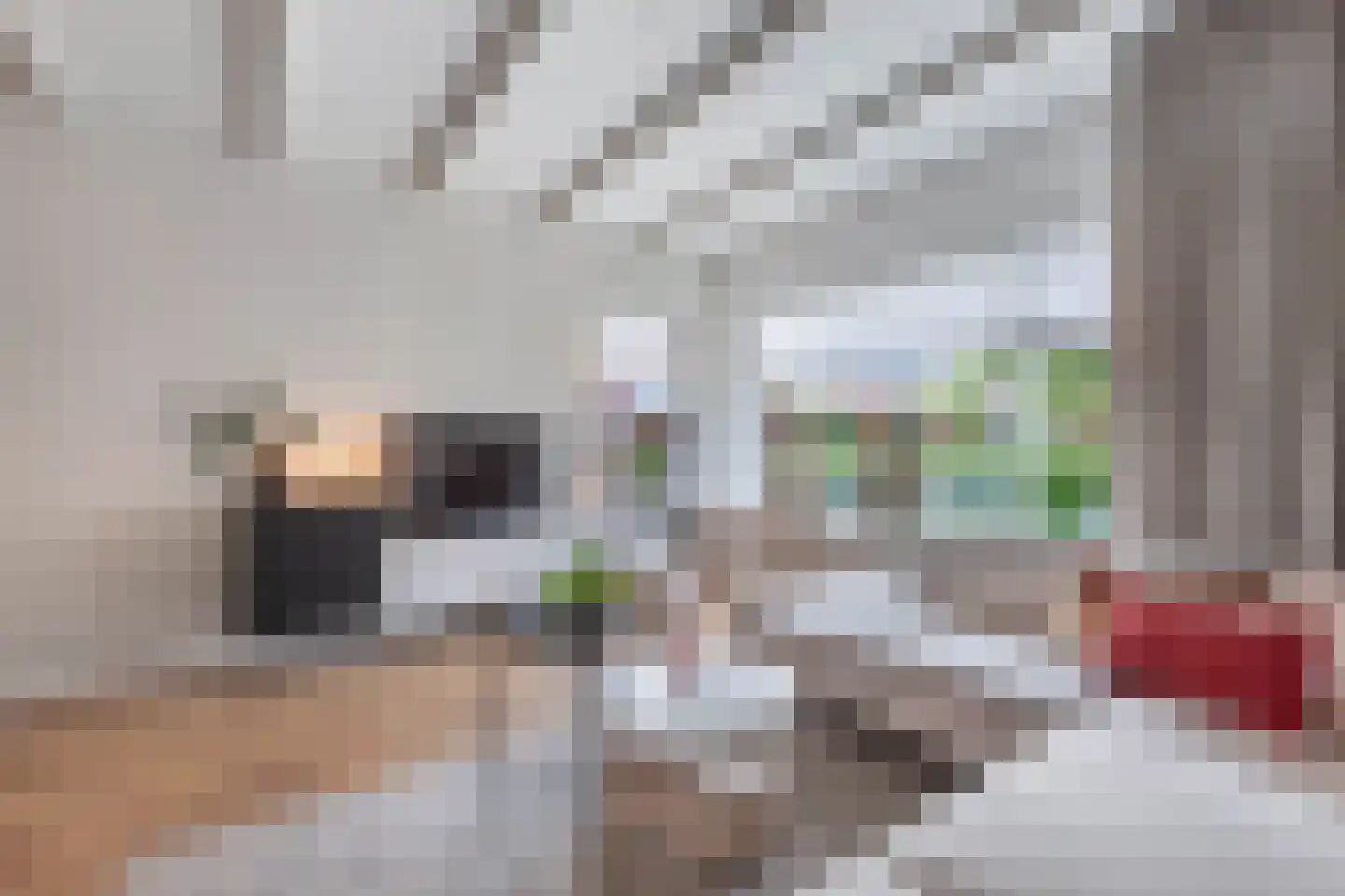 Hornleger 1 Drachten thumbnail 7