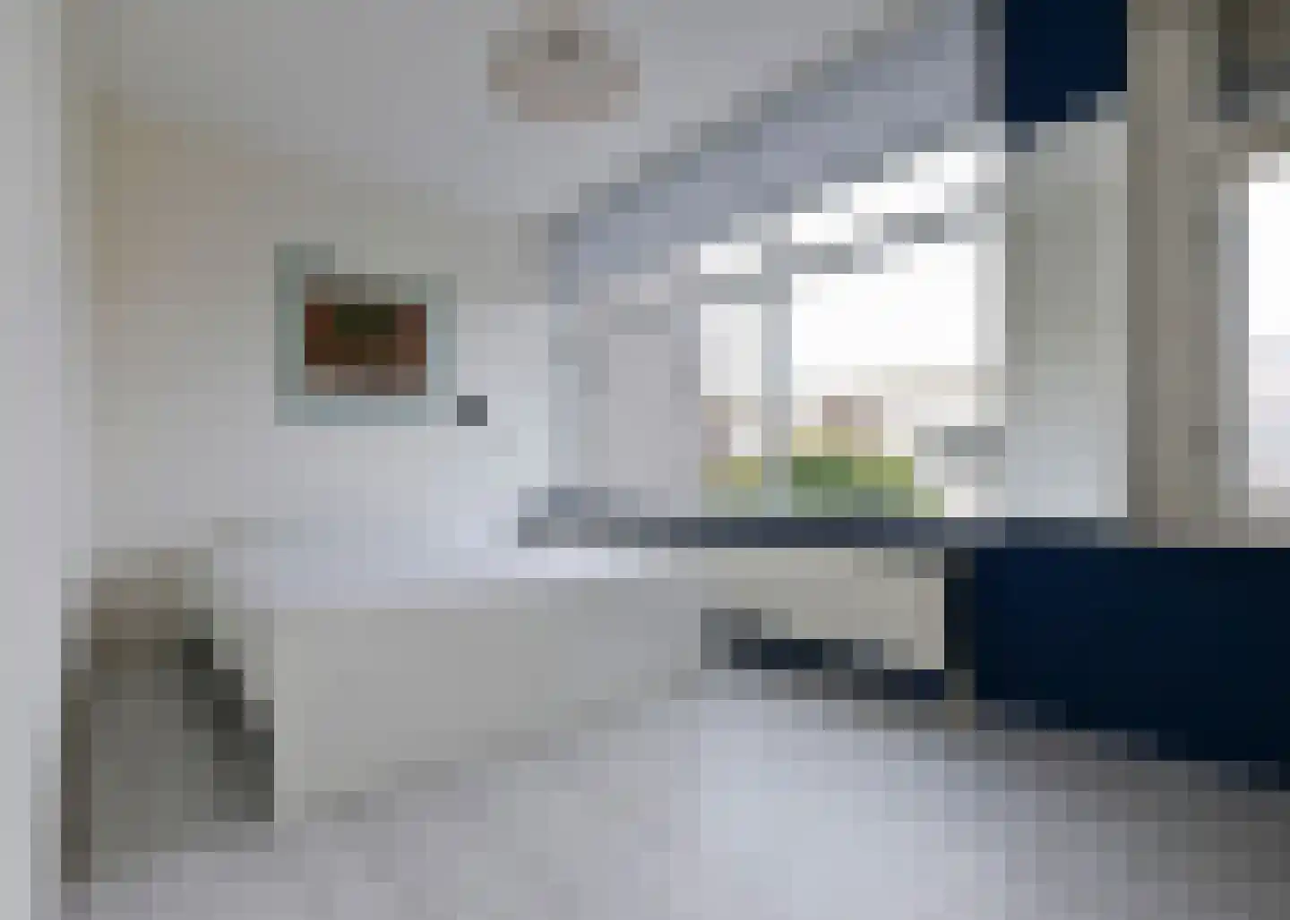 Hornstraat 11 Heerhugowaard thumbnail 18