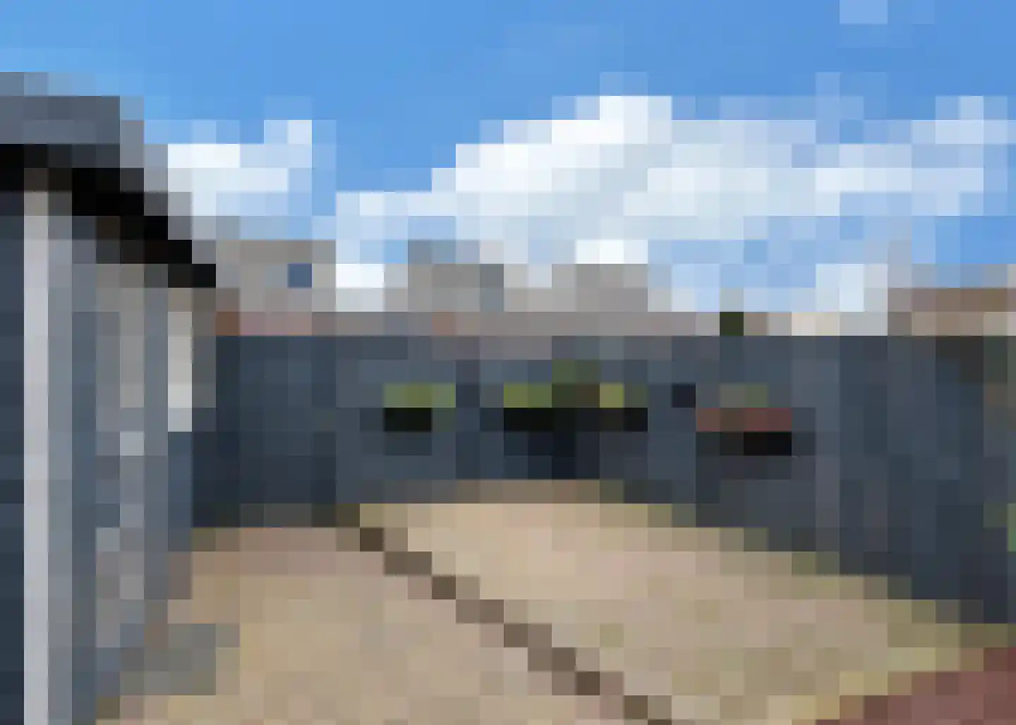 Hornstraat 11 Heerhugowaard thumbnail 28