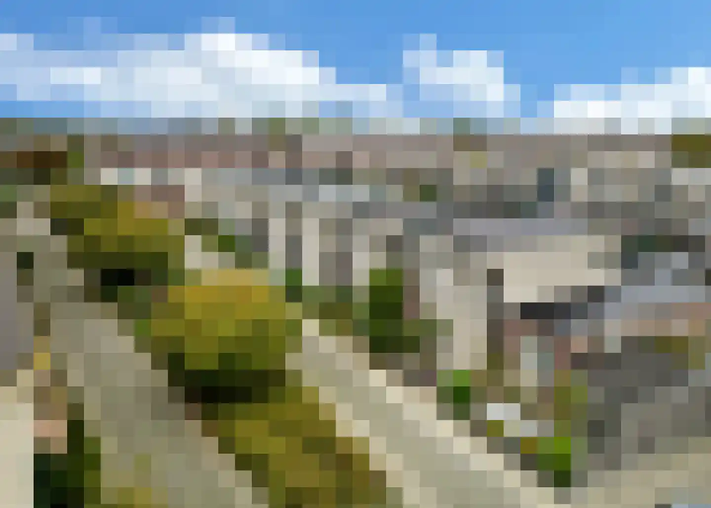 Hornstraat 11 Heerhugowaard thumbnail 34