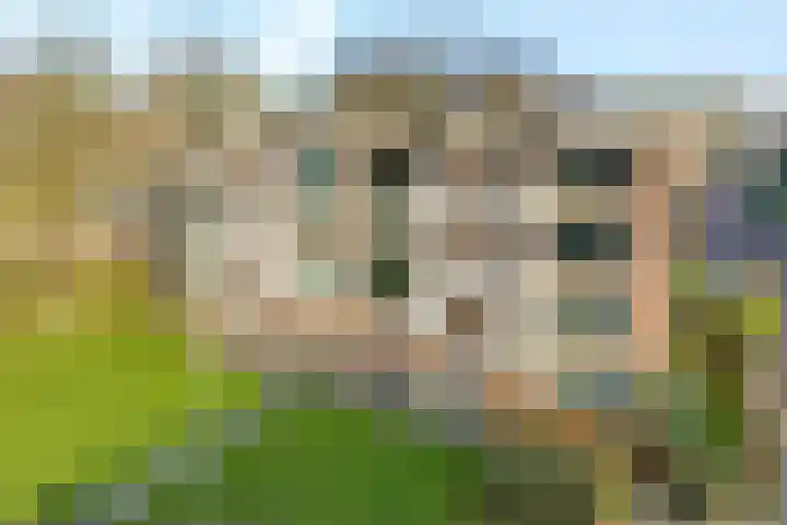 Hornstraat 14 Zwolle thumbnail 25