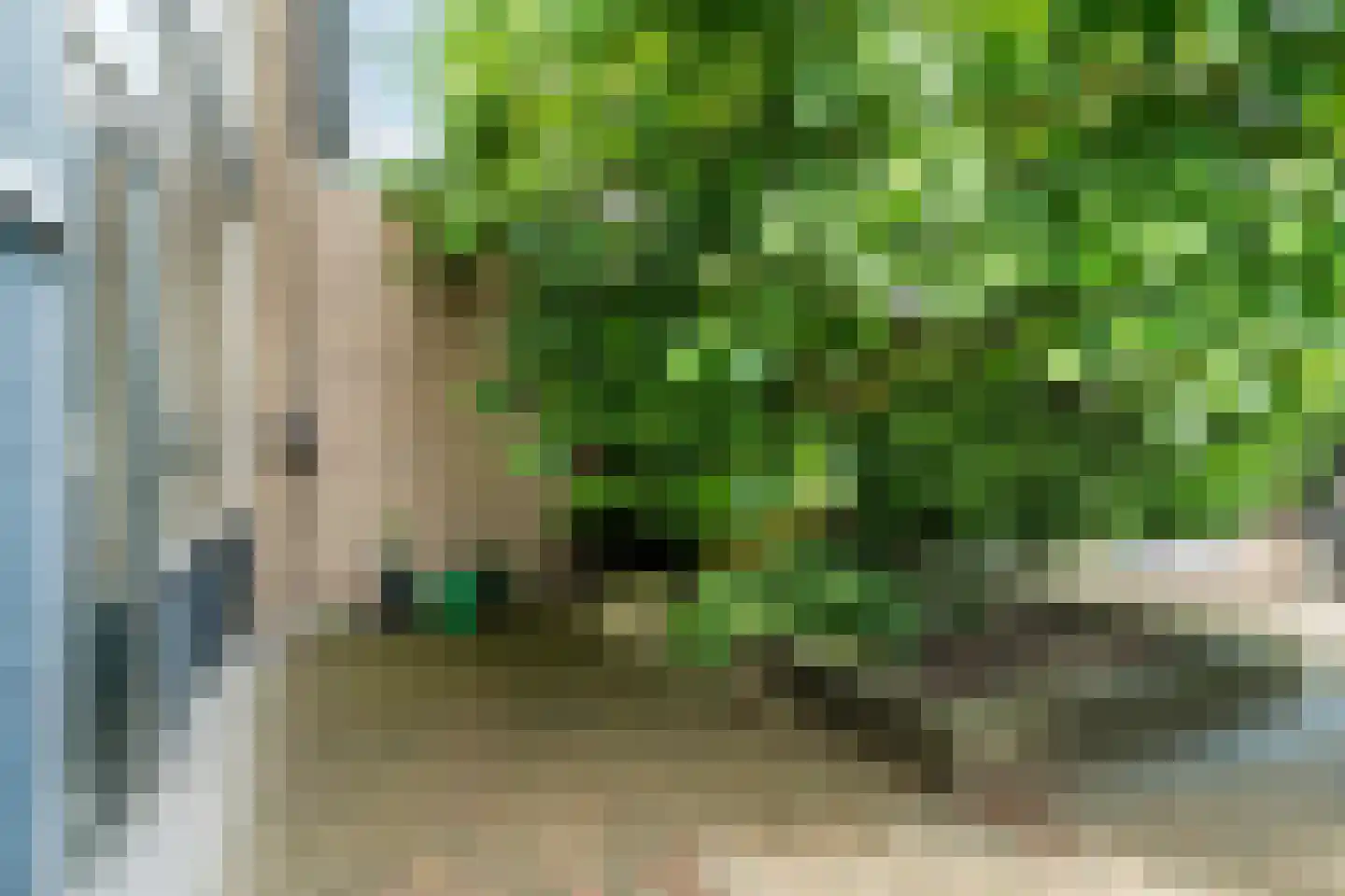 Hornstraat 17 Breda thumbnail 18
