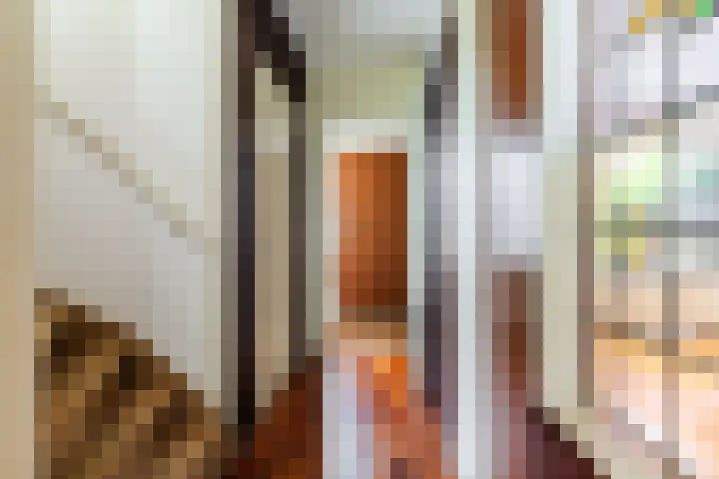 Hornstraat 17 Breda thumbnail 9