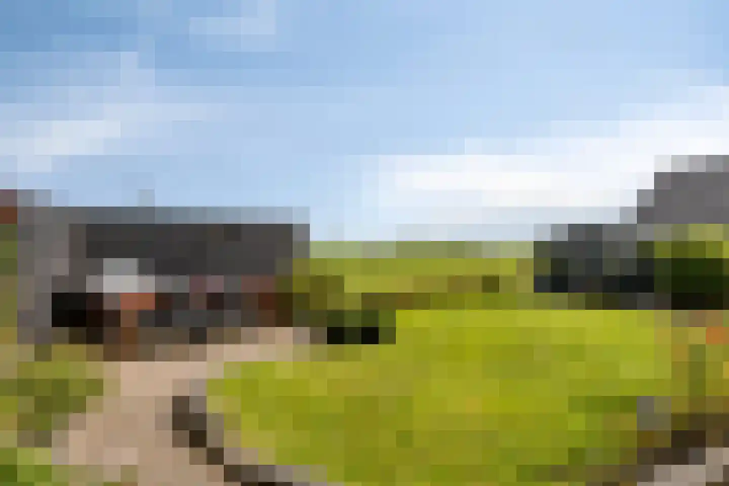 Hornstraat 18 Oterleek thumbnail 5