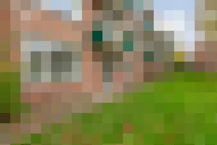 Hornstraat 21 Zwolle thumbnail 11