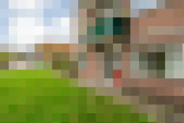 Hornstraat 21 Zwolle thumbnail 12