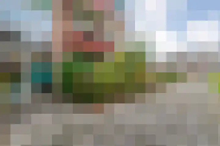 Hornstraat 21 Zwolle thumbnail 27