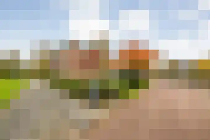 Hornstraat 21 Zwolle thumbnail 32
