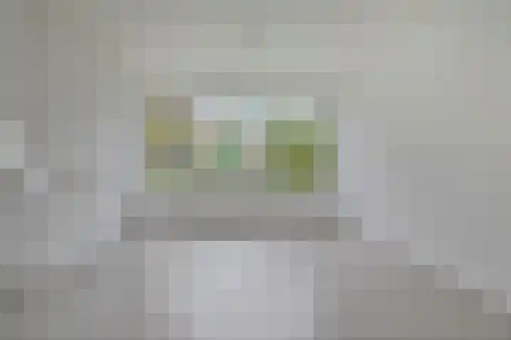 Hornstraat 21 Zwolle thumbnail 4