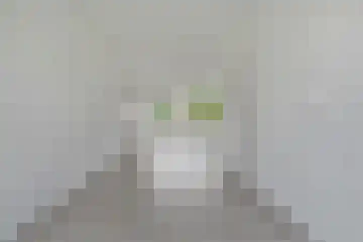 Hornstraat 21 Zwolle thumbnail 7