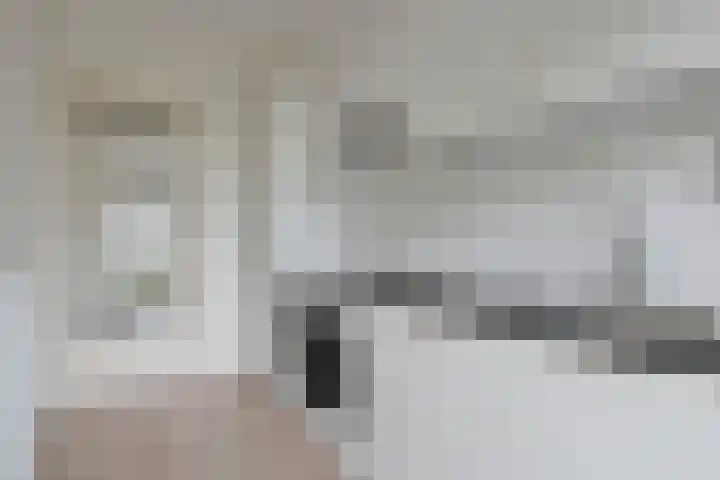 Hornstraat 21 Zwolle thumbnail 9
