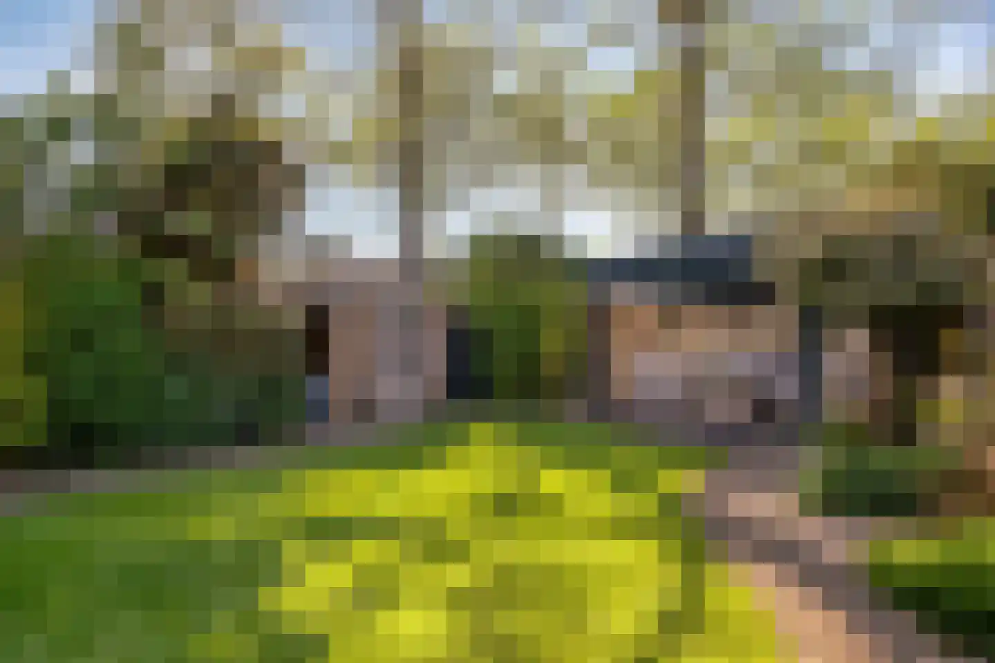 Hornstraat 27 Tilburg thumbnail 50