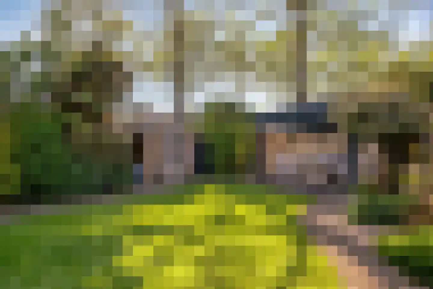 Hornstraat 27 Tilburg thumbnail 8